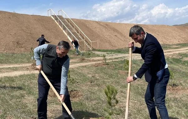 Heydər Əliyevin 100 illik yubileyi ilə əlaqədar Cəbrayılda ağacəkmə aksiyası keçirilib - FOTO