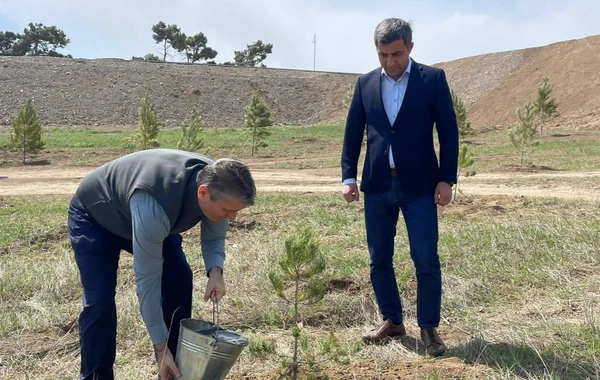 Heydər Əliyevin 100 illik yubileyi ilə əlaqədar Cəbrayılda ağacəkmə aksiyası keçirilib - FOTO