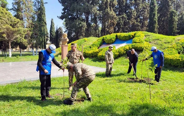 Azərbaycan Ordusunda keçirilən ağacəkmə aksiyaları davam edir - FOTO