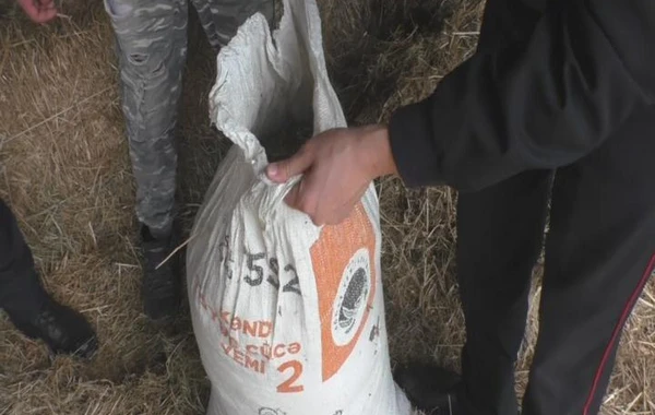 Polisdən əməliyyat: Torpağın altında narkotik gizlədənlər saxlanıldılar - FOTO