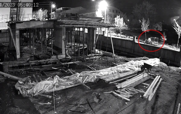 Əvvəlcə rəqs etdi, sonra oğurluğa başladı - FOTO/VİDEO