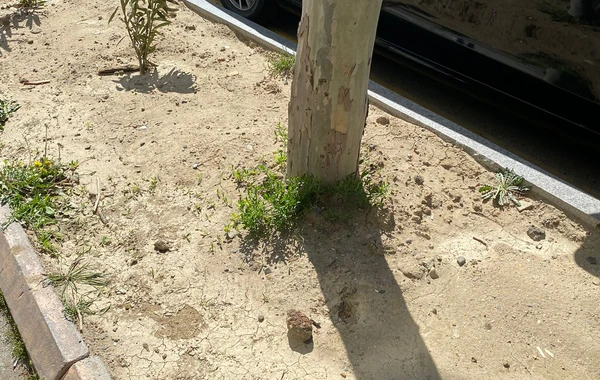 Bakıda hərbi sursat aşkarlanıb - FOTO/VİDEO