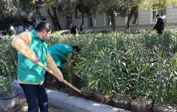 Bakıda ümumşəhər daxili iməciliyi keçirilib - FOTO