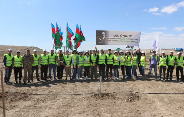 "BME - Schindler" şirkəti ağacəkmə aksiyası keçirdi - FOTO/VİDEO