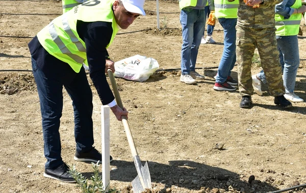 "BME - Schindler" şirkəti ağacəkmə aksiyası keçirdi - FOTO/VİDEO