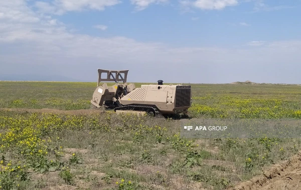 МЧС в связи с минной угрозой обратился к лицам, желающим проникнуть на освобожденные территории - ФОТО