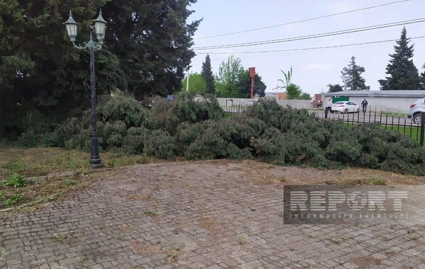 Ураган и ливни повредили 30 домов в Масаллы, отключено электричество - ФОТО