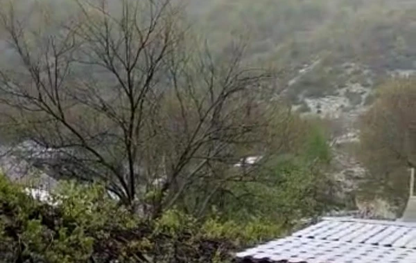 Bu bölgəmizə dolu düşüb, meyvə ağaclarına ziyan dəyib - FOTO
