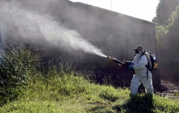 Argentinada epidemiya: 70 mindən çox insan yoluxub, ölənlər var