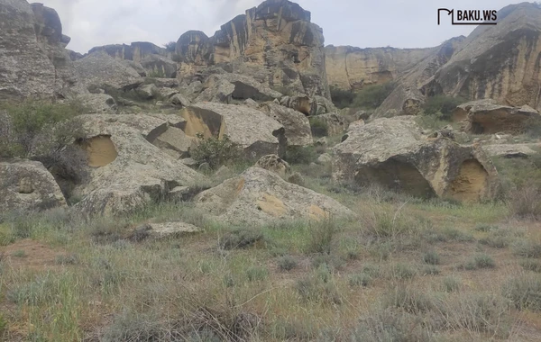 Qobustan Dövlət Tarixi-Bədii Qoruğunda bir gün - REPORTAJ - FOTO/VİDEO
