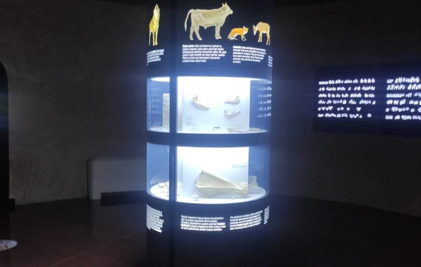 Qobustan Dövlət Tarixi-Bədii Qoruğunda bir gün - REPORTAJ - FOTO/VİDEO