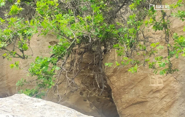 Qobustan Dövlət Tarixi-Bədii Qoruğunda bir gün - REPORTAJ - FOTO/VİDEO