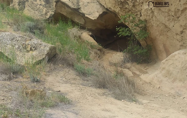 Qobustan Dövlət Tarixi-Bədii Qoruğunda bir gün - REPORTAJ - FOTO/VİDEO