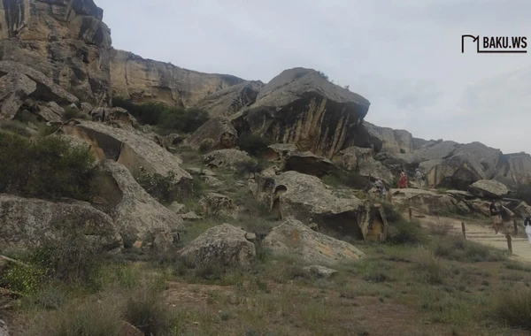 Qobustan Dövlət Tarixi-Bədii Qoruğunda bir gün - REPORTAJ - FOTO/VİDEO