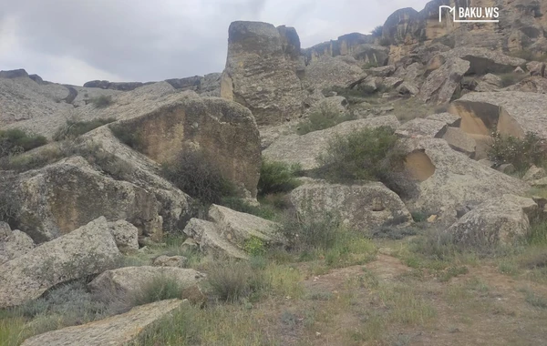 Qobustan Dövlət Tarixi-Bədii Qoruğunda bir gün - REPORTAJ - FOTO/VİDEO