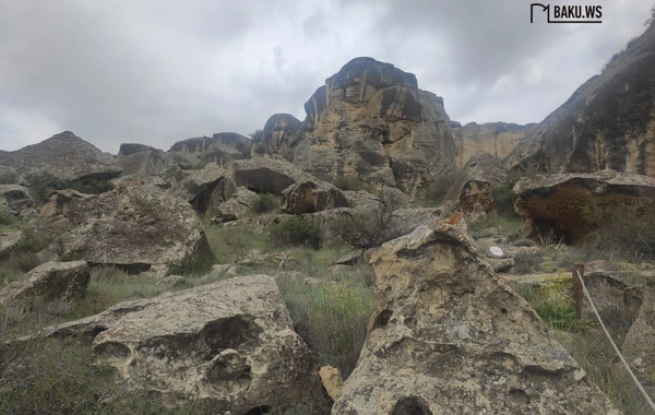Qobustan Dövlət Tarixi-Bədii Qoruğunda bir gün - REPORTAJ - FOTO/VİDEO