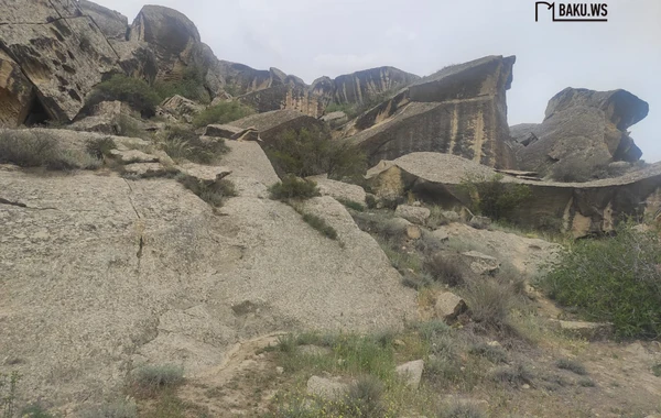 Qobustan Dövlət Tarixi-Bədii Qoruğunda bir gün - REPORTAJ - FOTO/VİDEO