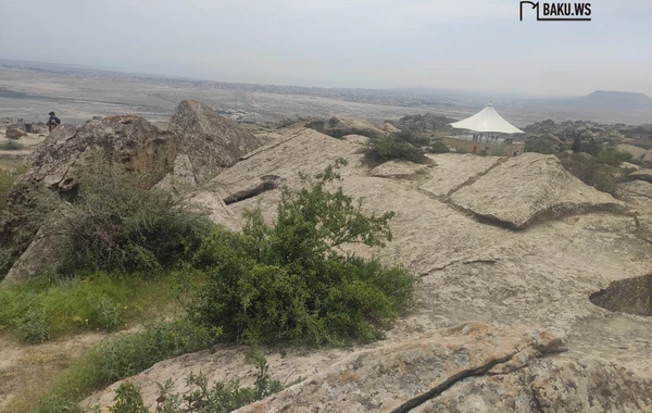 Qobustan Dövlət Tarixi-Bədii Qoruğunda bir gün - REPORTAJ - FOTO/VİDEO