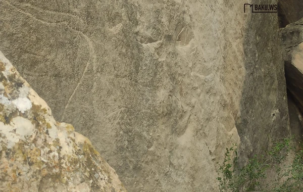 Qobustan Dövlət Tarixi-Bədii Qoruğunda bir gün - REPORTAJ - FOTO/VİDEO