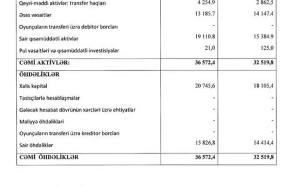 "Карабах" представил финансовый отчет за прошлый год: доходы клуба выросли в два раза - ФОТО