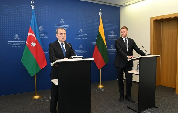 Azərbaycan və Litva XİN başçılarının müzakirə etdikləri məsələlər açıqlanıb - FOTO