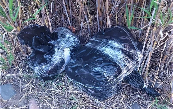 Dövlət sərhədini pozmağa cəhd edən şəxslər saxlanılıb - FOTO