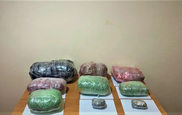 Dövlət sərhədini pozmağa cəhd edən şəxslər saxlanılıb - FOTO