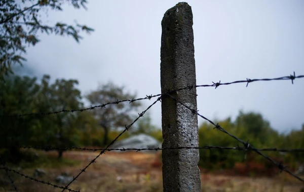 Dövlət sərhədini pozmağa cəhd edən şəxslər saxlanılıb - FOTO