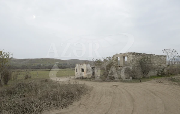 Füzuli rayonunun Dördçinar kəndi - FOTO