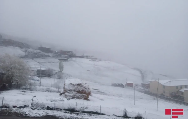 Azərbaycanın şimal bölgəsinə qar yağır - FOTO/VİDEO