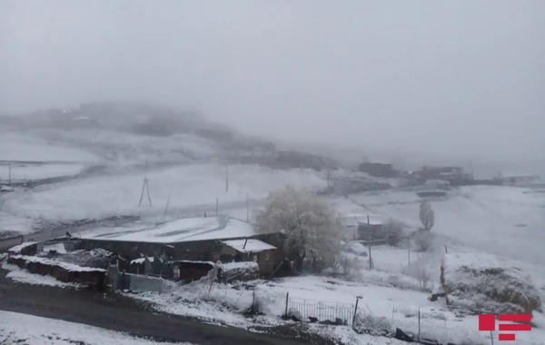 Azərbaycanın şimal bölgəsinə qar yağır - FOTO/VİDEO