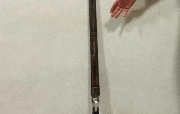 Tüfənglə çoban itini vuran şəxs saxlanıldı - FOTO
