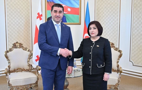 Azərbaycan və Gürcüstan parlamentlərinin sədrləri görüşüb