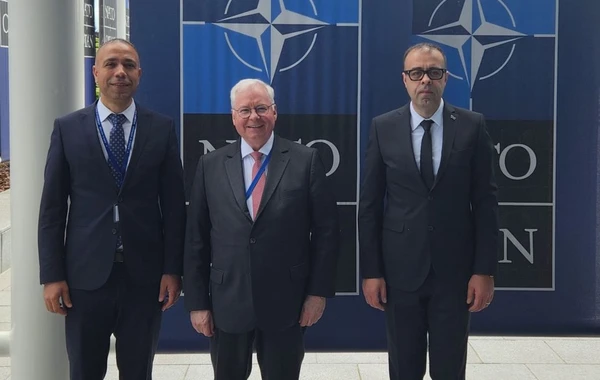 Azərbaycan və NATO arasında enerji təhlükəsizliyi dialoqu keçirilib - FOTO