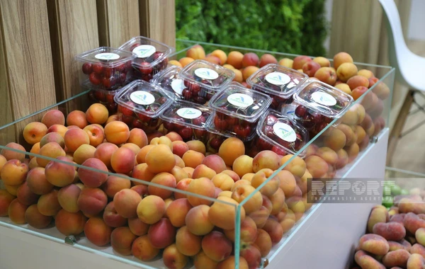 В Баку проходят выставки Caspian Agro и InterFood Azerbaijan - ФОТО