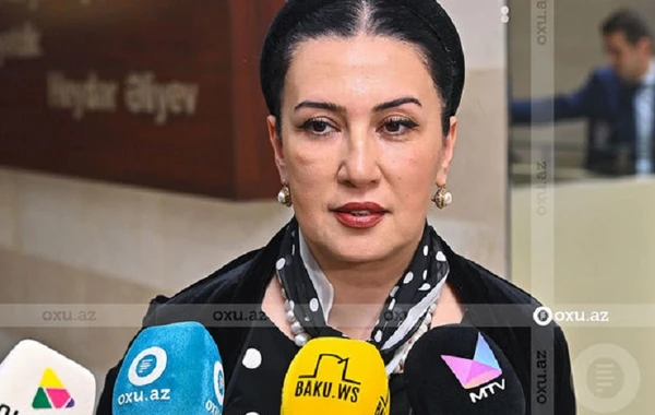 Gövhər Həsənzadə: “Sənətlə bağlı olan proqramların sayı azalıb”