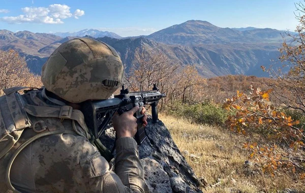 Türkiyə ordusu 38 minə yaxın terrorçunu məhv edib