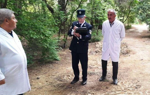 Mərkəzi Nəbatat bağında monitorinq keçirilib - FOTO