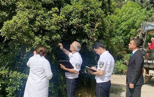 Mərkəzi Nəbatat bağında monitorinq keçirilib - FOTO