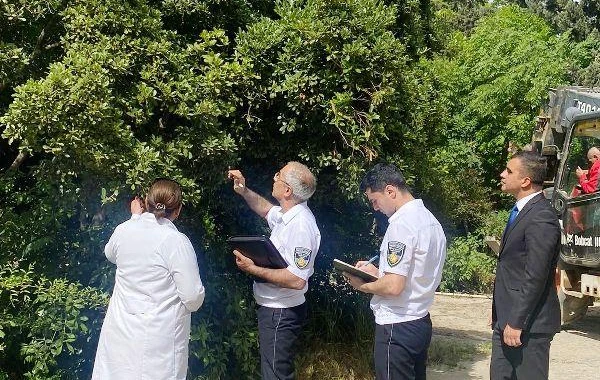 В Центральном ботаническом саду проведен мониторинг - ФОТО