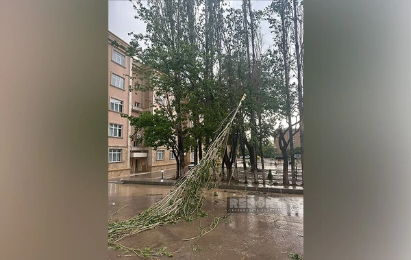 Naxçıvana güclü leysan yağıb, dolu düşüb, küçələri su basıb - FOTO