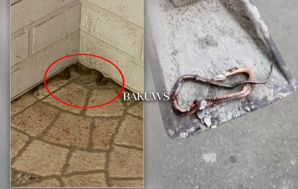 Elmlər Akademiyası metrostansiyası ətrafında ilan peyda olub - VİDEO