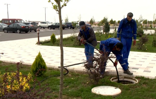 Naxçıvanda təbii fəlakətin nəticələri aradan qaldırılıb - FOTO