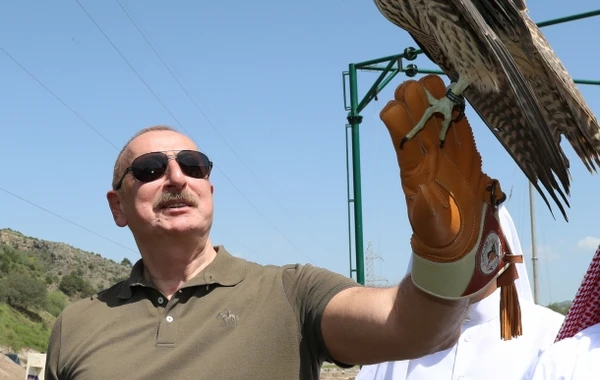 Laçında Şərqi Qafqaz turları və şahin quşları təbiətə, müxtəlif növ balıqlar Həkəri çayına buraxılıb - FOTO