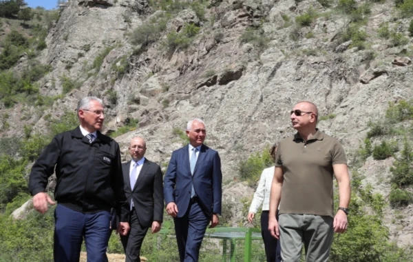 Laçında Şərqi Qafqaz turları və şahin quşları təbiətə, müxtəlif növ balıqlar Həkəri çayına buraxılıb - FOTO