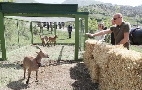 Laçında Şərqi Qafqaz turları və şahin quşları təbiətə, müxtəlif növ balıqlar Həkəri çayına buraxılıb - FOTO