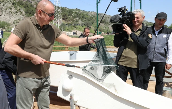 Laçında Şərqi Qafqaz turları və şahin quşları təbiətə, müxtəlif növ balıqlar Həkəri çayına buraxılıb - FOTO