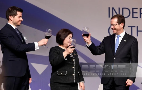 Sahibə Qafarova: “İsrail şirkətləri Qarabağda və Şərqi Zəngəzurda yenidənqurma işlərində iştirak edir” - FOTO