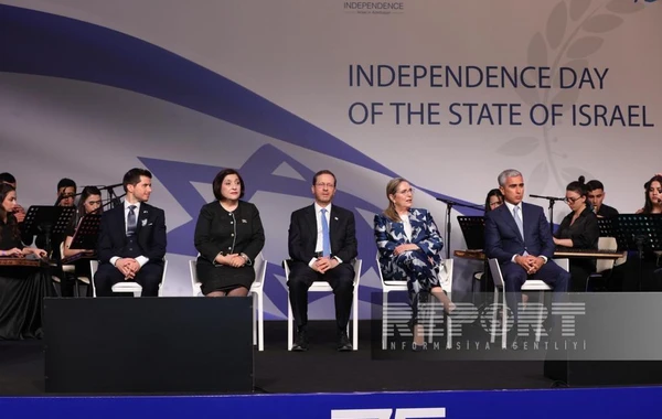 Sahibə Qafarova: “İsrail şirkətləri Qarabağda və Şərqi Zəngəzurda yenidənqurma işlərində iştirak edir” - FOTO