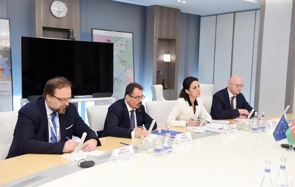 SOCAR və Avropa Komissiyası Cənub Qaz Dəhlizinin genişləndirilməsi məsləsini müzakirə edib - FOTO